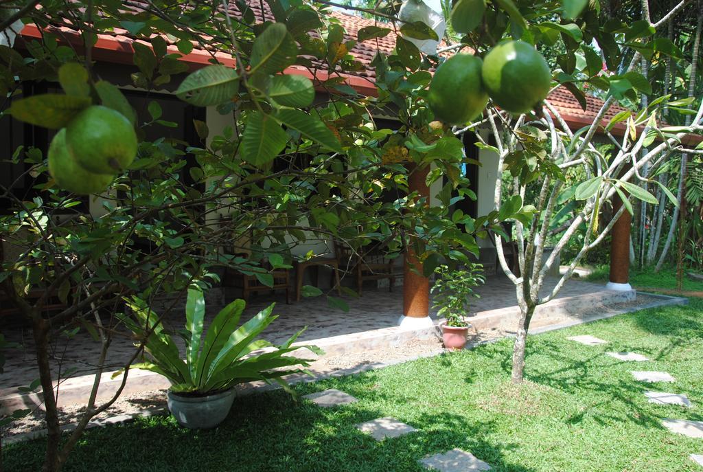 Aknara Rest Hotel Weligama Esterno foto