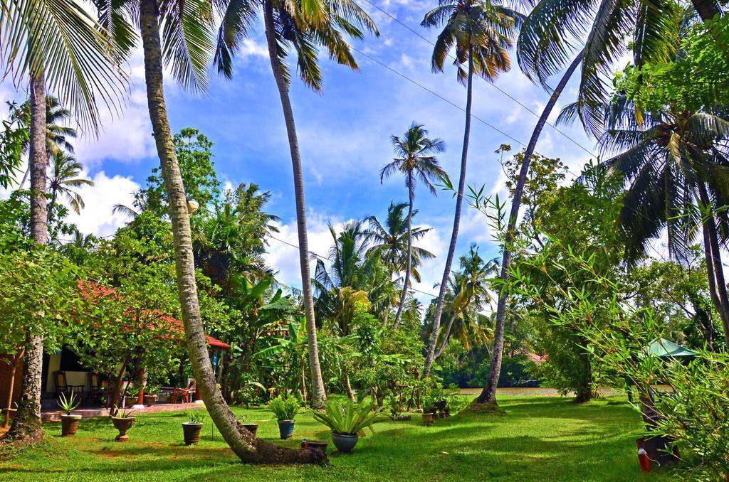 Aknara Rest Hotel Weligama Esterno foto