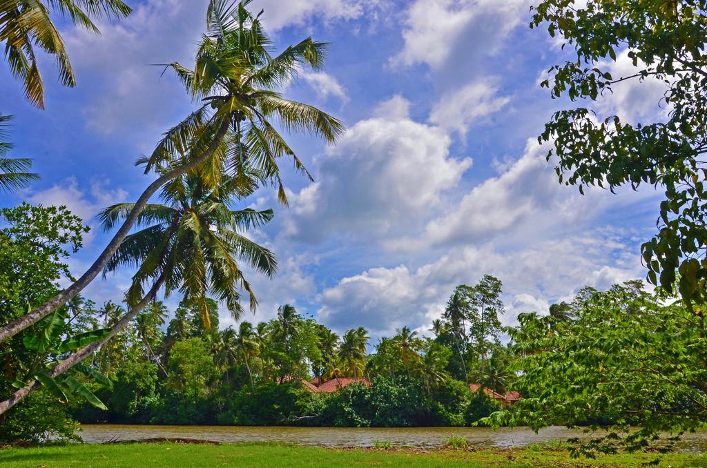 Aknara Rest Hotel Weligama Esterno foto